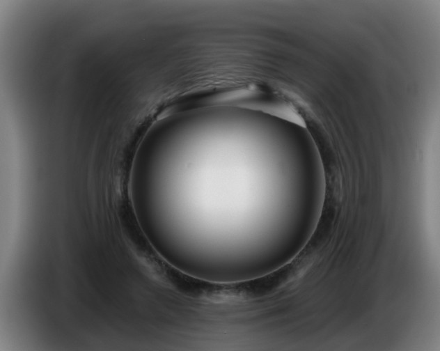 X0000086780546200704201826