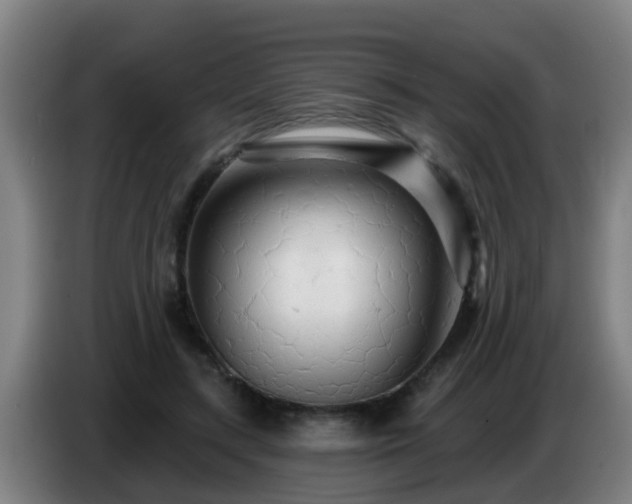 X0000086780547200704201826