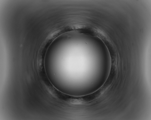 X0000086780548200704201826