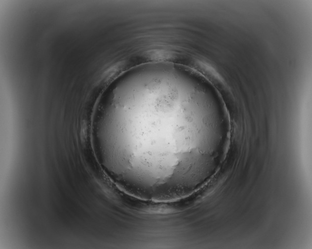 X0000086780549200704201826