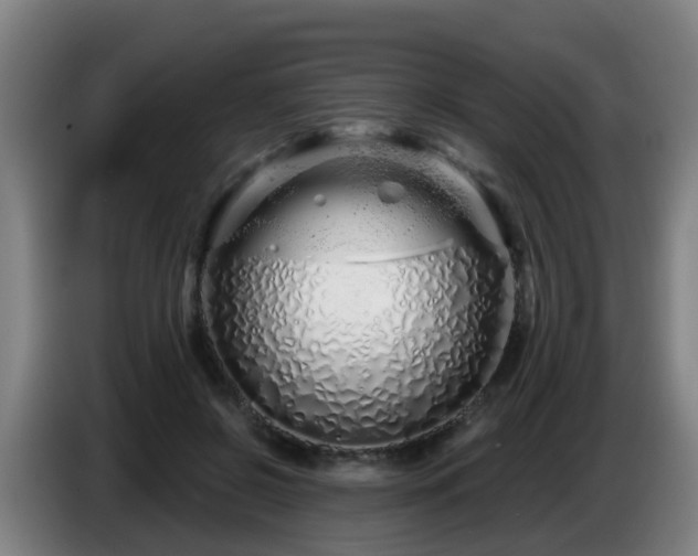 X0000086780550200704201826