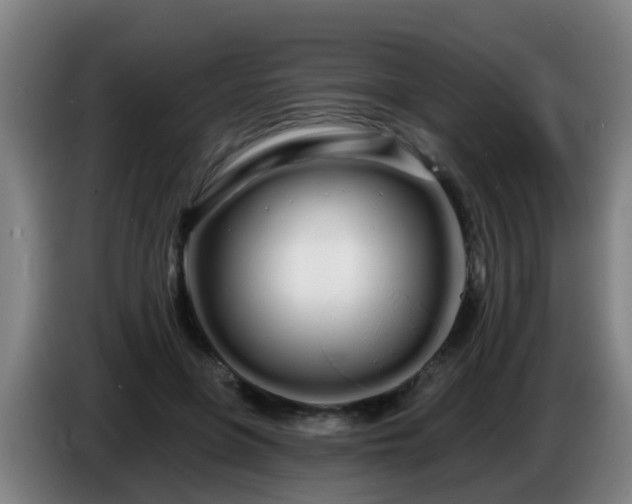 X0000086780551200704201826