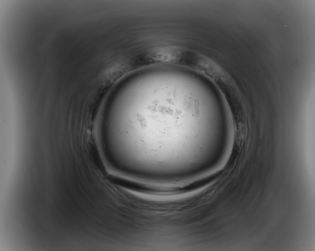 X0000086780553200704201826