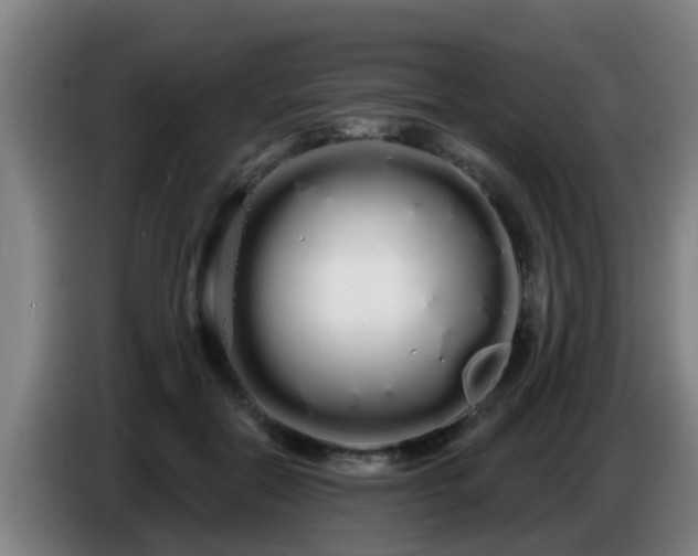 X0000086780554200704201826