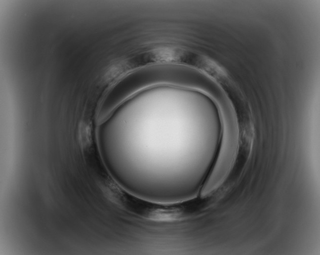 X0000086780556200704201826