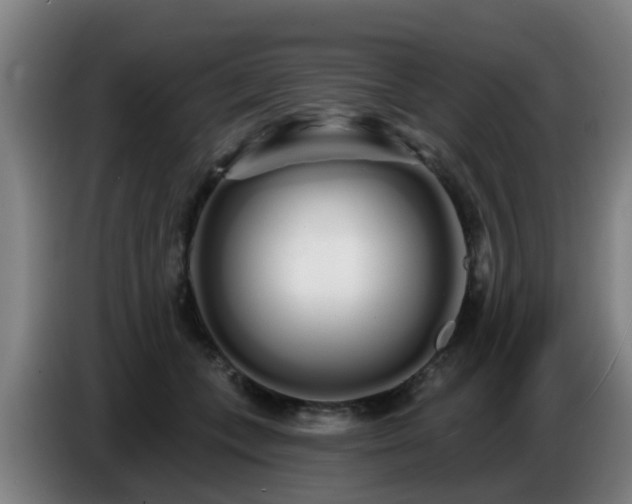 X0000086780559200704201826