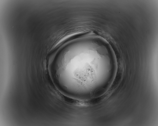 X0000086780565200704201826