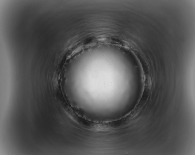 X0000086780568200704201826