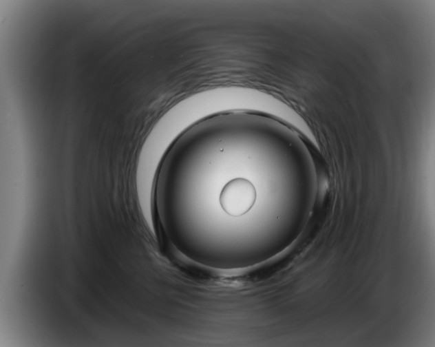 X0000086780570200704201826