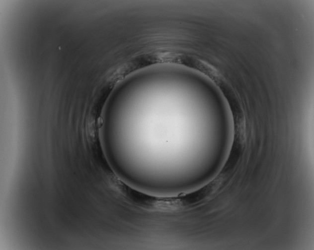 X0000086780571200704201826