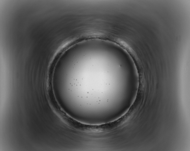 X0000086780582200704201826