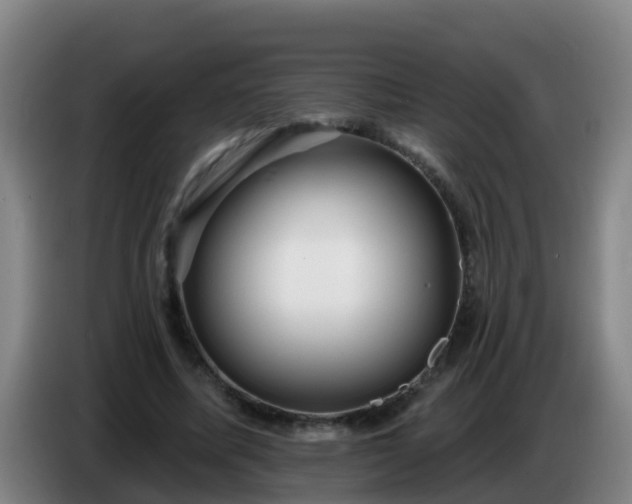 X0000086780587200704201826