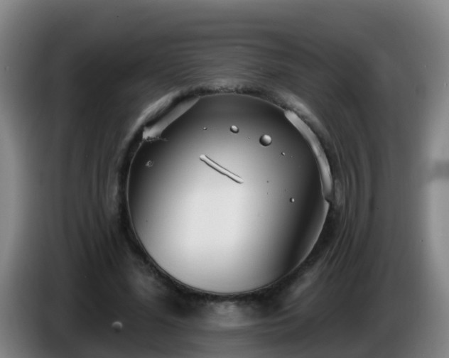 X0000086780588200704201826