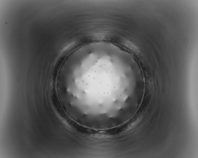 X0000086780590200704201826