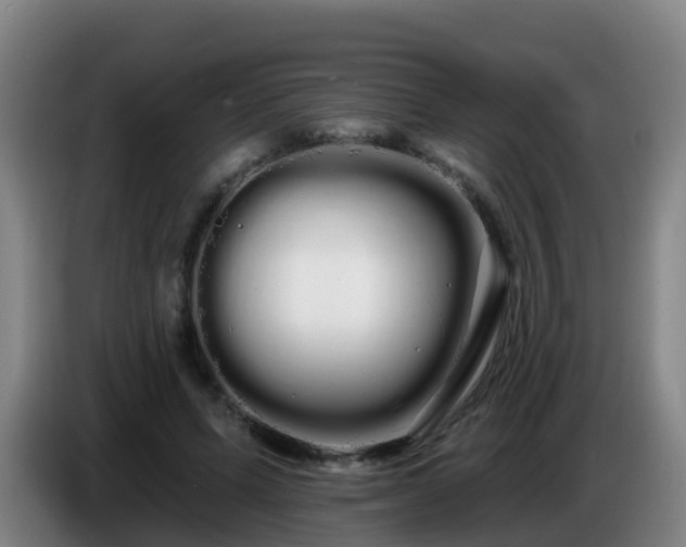 X0000086780591200704201826