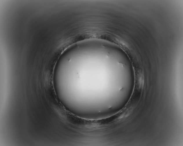 X0000086780594200704201826