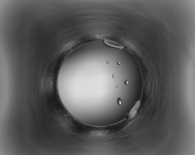 X0000086780595200704201826