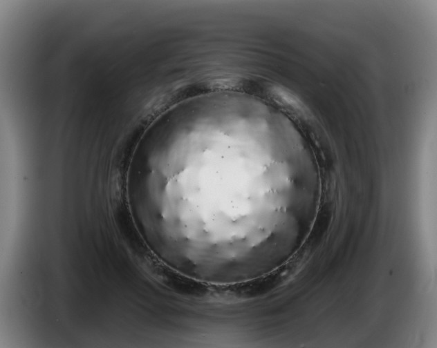 X0000086780598200704201825