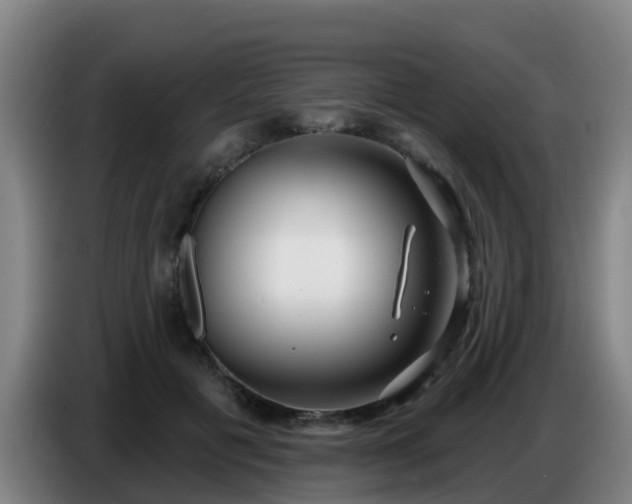 X0000086780601200704201825