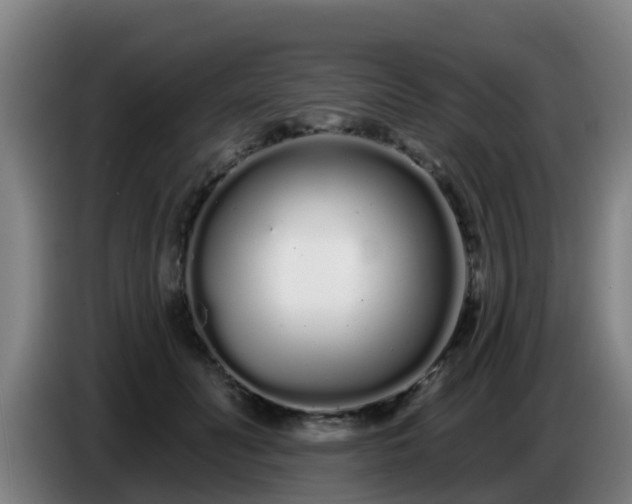 X0000086780606200704201825