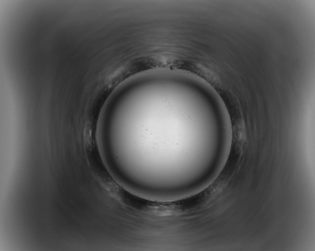 X0000086780615200704201825