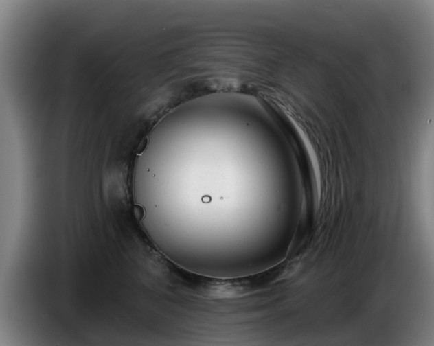 X0000086780616200704201825