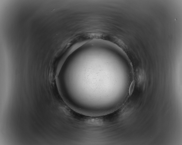 X0000086780619200704201825