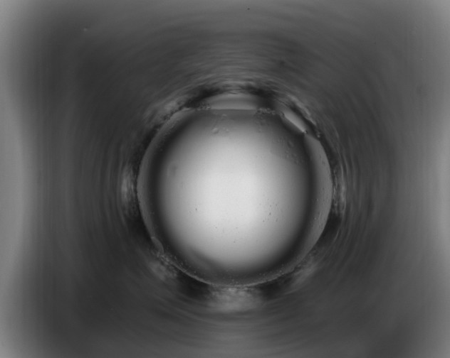 X0000086780623200704201825