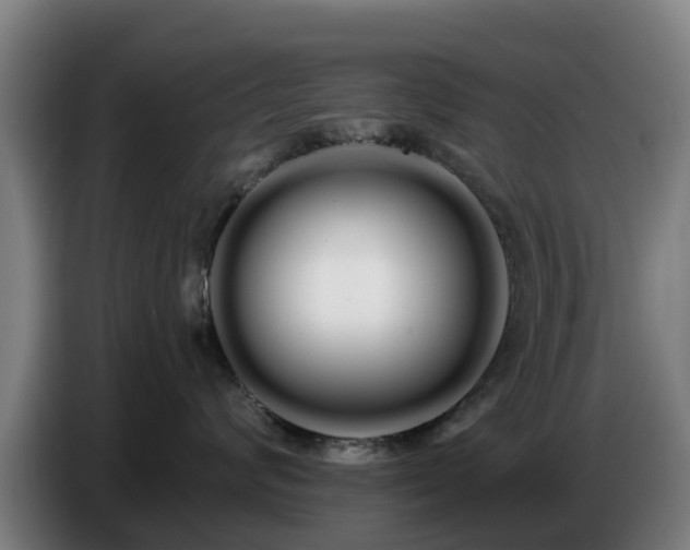 X0000086780624200704201825