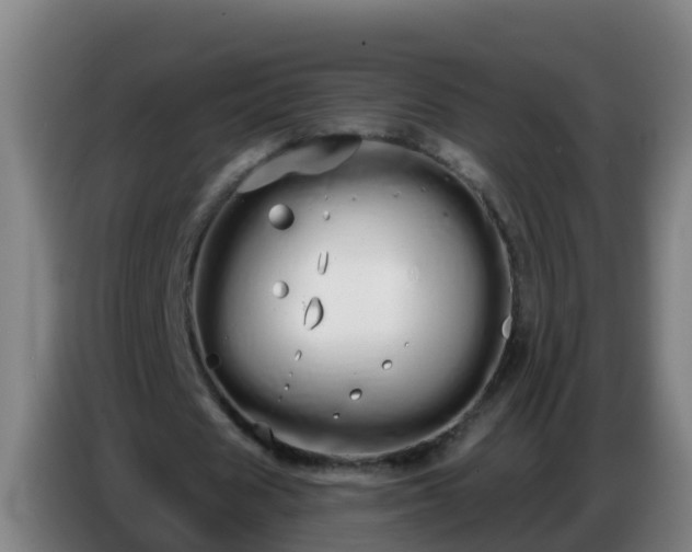 X0000086780625200704201825