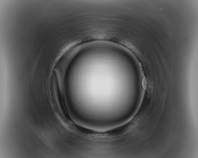 X0000086780626200704201825