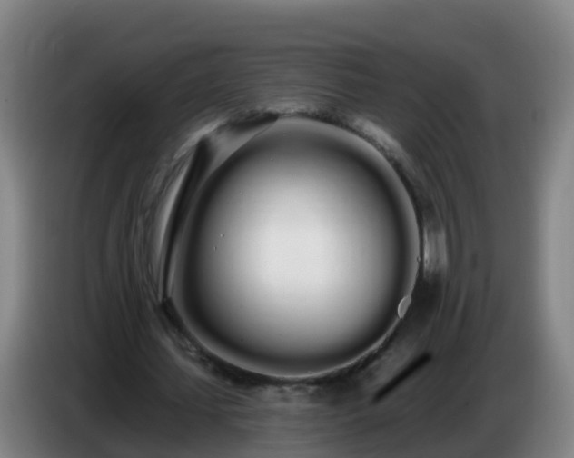 X0000086780627200704201825