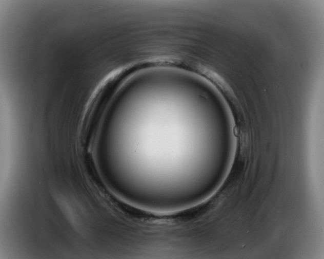 X0000086780628200704201825