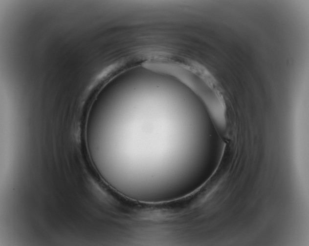 X0000086780629200704201825