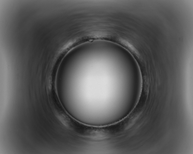 X0000086780631200704201825