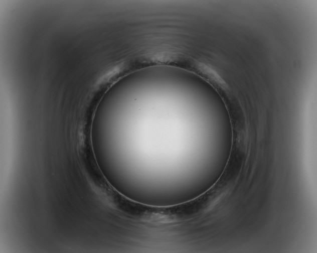 X0000086780635200704201825