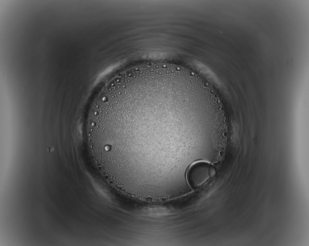 X0000086780636200704201825