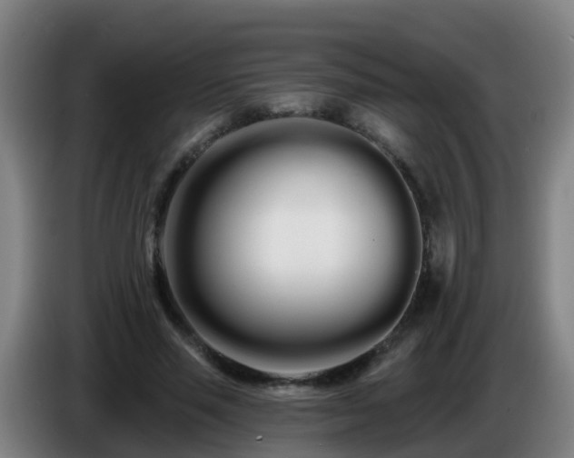 X0000086780637200704201825