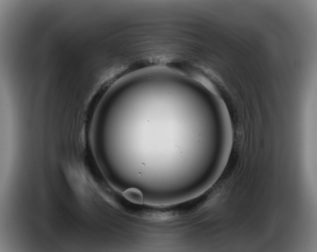 X0000086780638200704201825