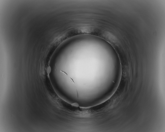 X0000086780639200704201825