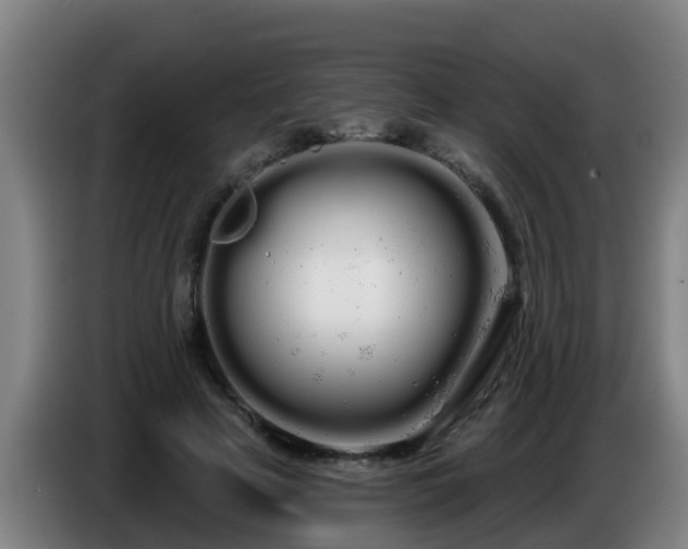 X0000086780641200704201825