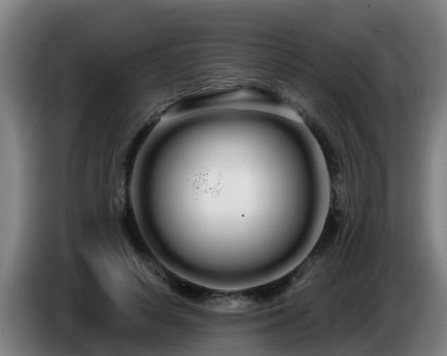 X0000086780642200704201825