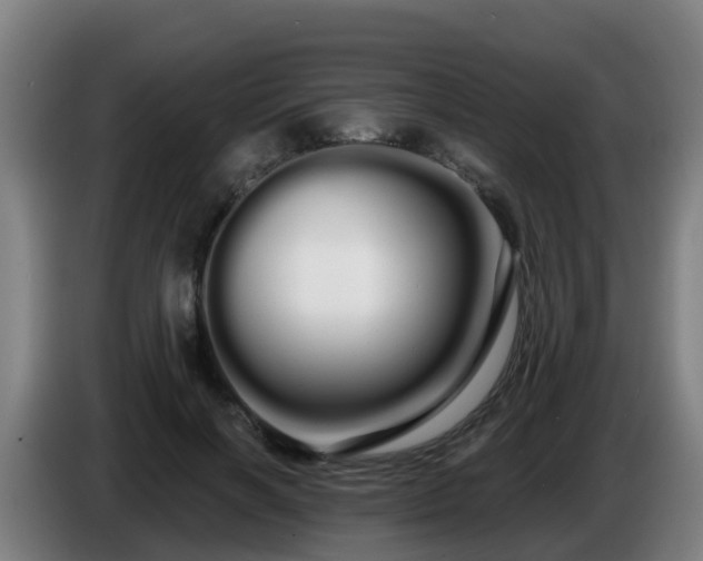 X0000086780646200704201825