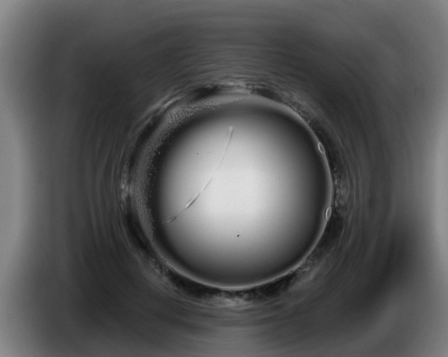 X0000086780648200704201825