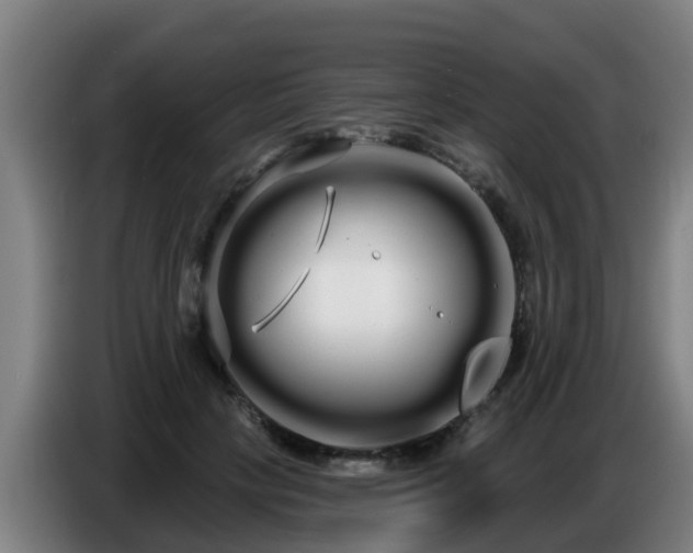 X0000086780649200704201825