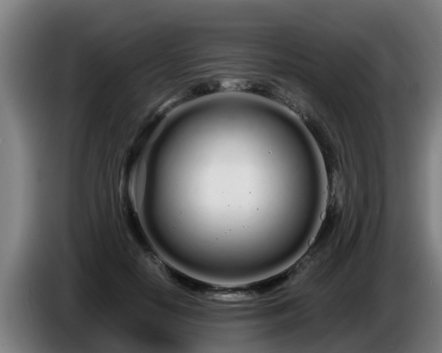 X0000086780650200704201825