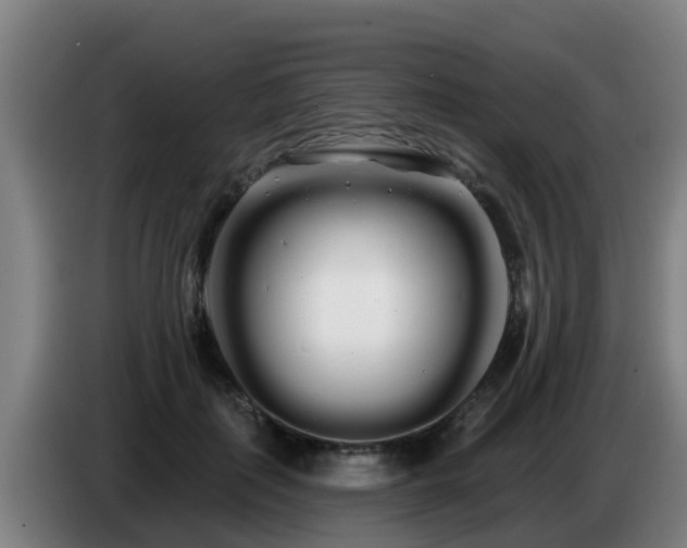 X0000086780651200704201825