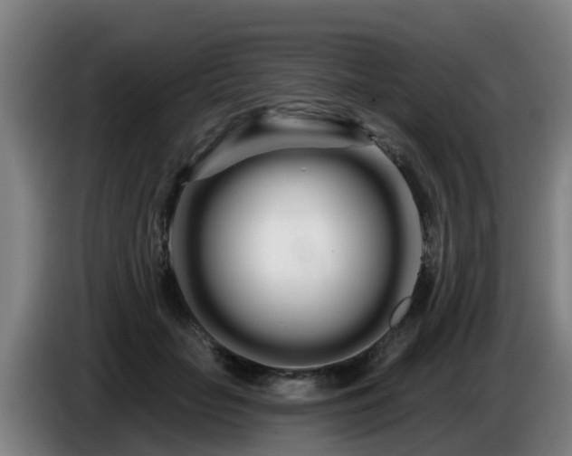 X0000086780653200704201825