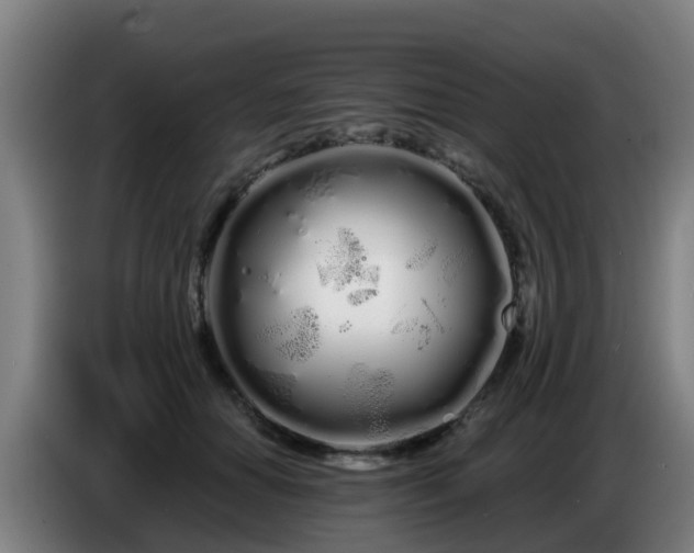 X0000086780654200704201825