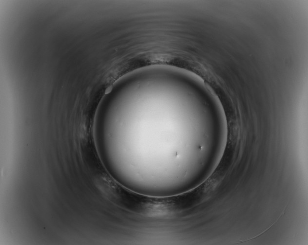 X0000086780655200704201825